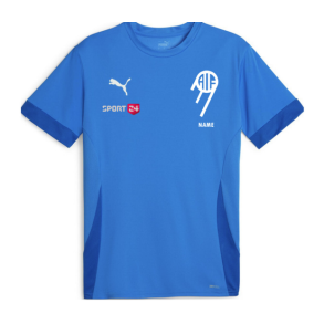 teamGOAL Matchday Jersey Voksen