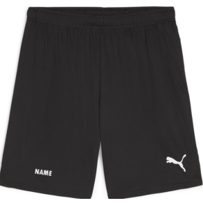 teamGOAL Shorts