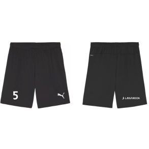 teamGOAL Shorts