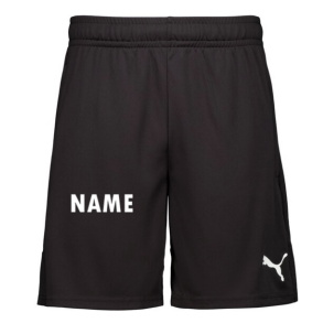 teamLIGA Training Shorts